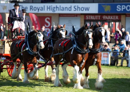 The Royal Highland Showcase will be open to entrants across the UK.