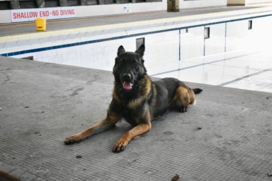 PD Ice of the Aberdeen Police Dog Unit beside the empty pool at Bon Accord Baths.