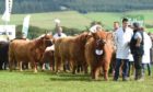 Keith Show is the largest agricultural event in Moray.