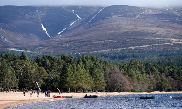 Bright sunny day at Loch Morlich.