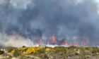 Last week a gorse fire took hold close to Fort George