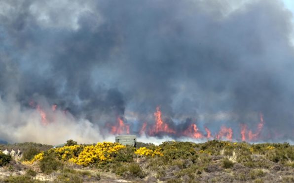 Last week a gorse fire took hold close to Fort George