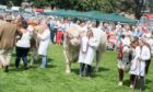EVENTS: The Perthshire Agricultural Society has announced Perth Show will not take place in its traditional format.