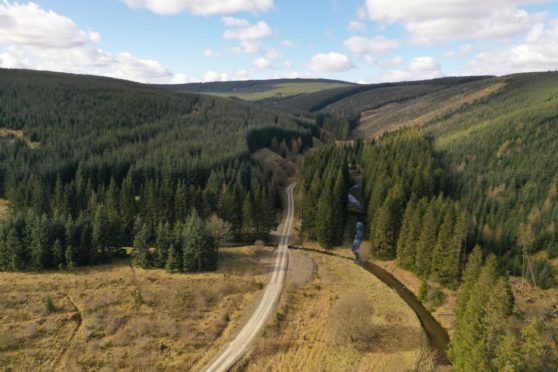 Ramsaygrain East Forests is for sale for offers over £14m.