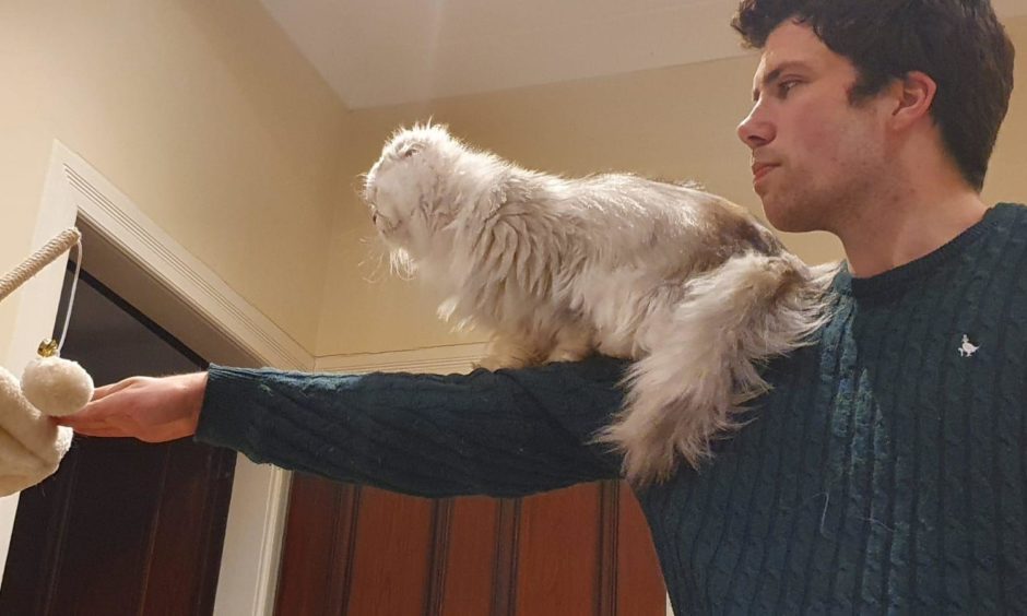 Councillor Ryan Houghton, pictured with his cat Eevee, is warning of a looming "unwanted pet pandemic"