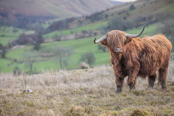 NFFN has more than 2,000 farmer members across the UK.