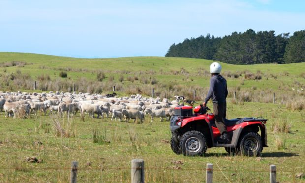 Scottish farmers are crying out for clarity on post-Brexit agricultural policy in Scotland.