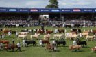 The grand parade of livestock in the showground during the Royal Highland Show in Edinburgh. PRESS ASSOCIATION Photo. Picture date: Sunday June 25, 2017.Photo credit should read: Andrew Milligan/PA Wire