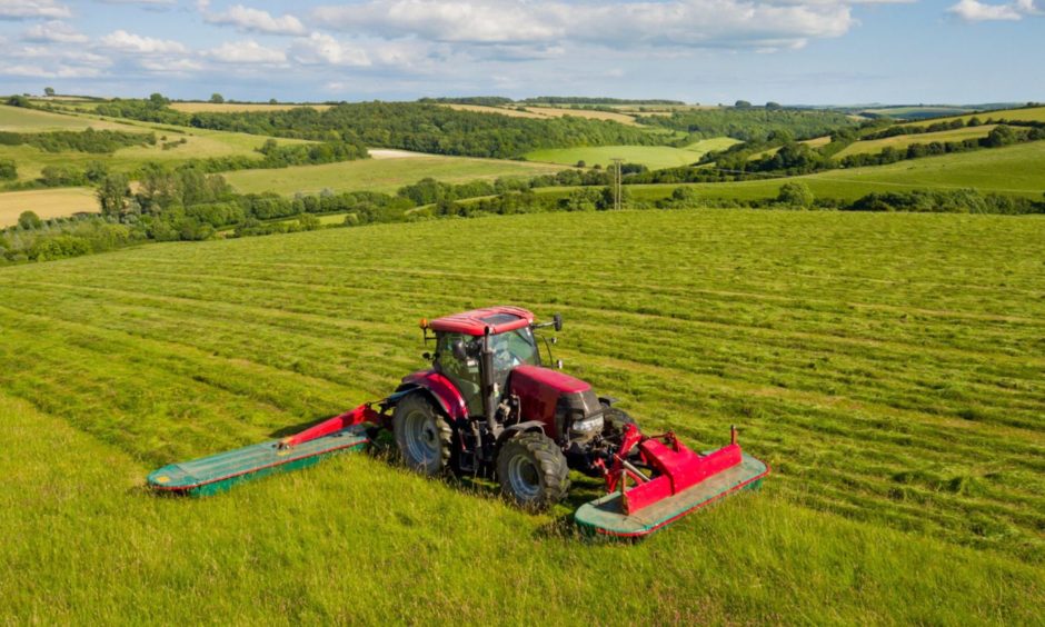 Tractopr cutting grass for silage. 