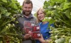 Ross and Anna Mitchell with their berries featuring the new logo.