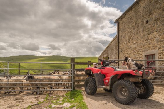 A red Suzuki 500 quad, like this one, was taken from near Lossiemouth