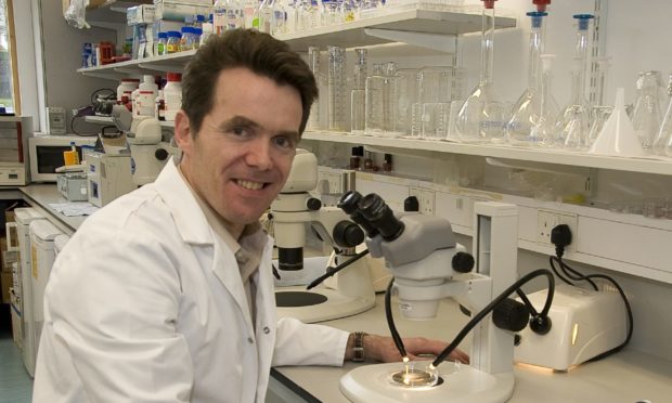 Dr Neil Vargesson FRSE in the lab at Aberdeen University.