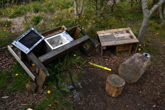 A group of teenagers were captured on CCTV at the wooded area.