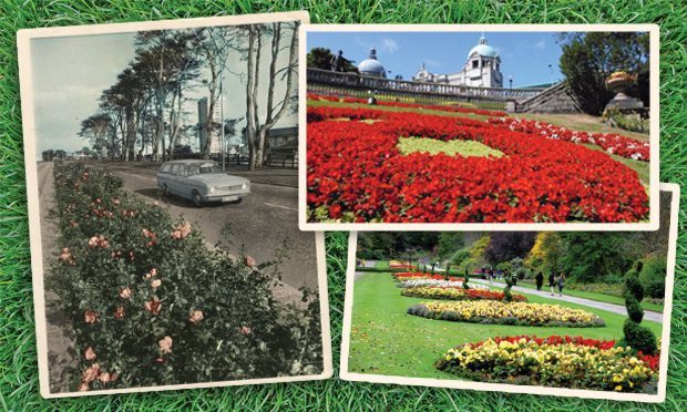 Aberdeens blooming success, clockwise from left, Anderson Drive in the 1970s, Union Terrace Gardens and Seaton Park.