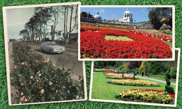 Aberdeens blooming success, clockwise from left, Anderson Drive in the 1970s, Union Terrace Gardens and Seaton Park.