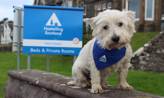 Oban Youth Hostel will be re-opening tomorrow after a difficult year.