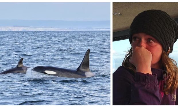 Jilly Blackhurst has been trying to spot her first orca for five years.