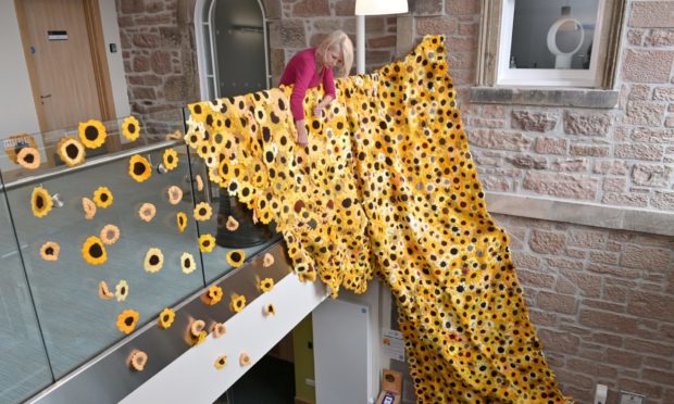 Sue McKelvie, facilities co-ordinator with The Highland Hospice in Inverness photographed with their Sunflower Cascade.