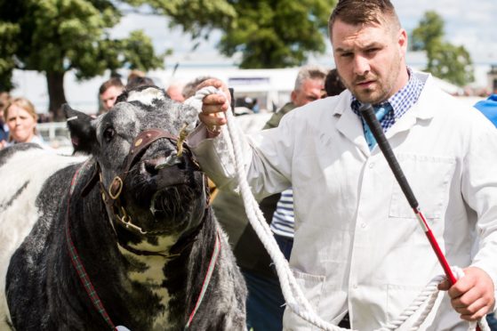 A group of next generation judges has been unveiled for the beef classes at the showcase.