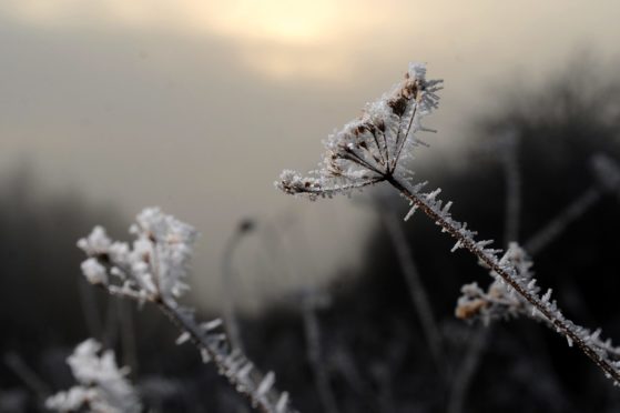 The low temperature matches one also recorded in Kinbrace in 2012.