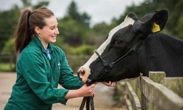 HELPING HAND: SRUC says the new vet school would help solve skills shortages in rural practices across Scotland.