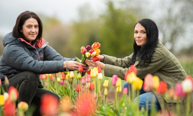 Kym McWilliam and Gayle Ritchie in the flower field near Laurencekirk.