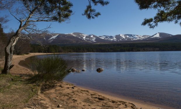 Loch Morlich, near Aviemore, is one of the areas attractions.