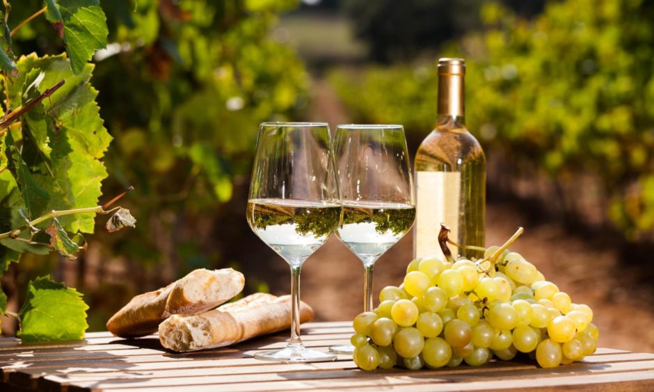 Spanish wines