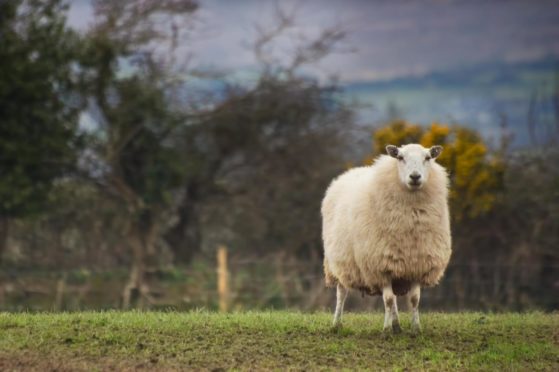 Two demonstration farms in Aberdeenshire are sought for the project.