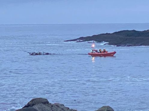 Tree towed back to shore