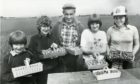 There was no lack of enthusiasm for picking among this cheerful group who were picking fruit at Balmanno, Marykirk, in 1981.