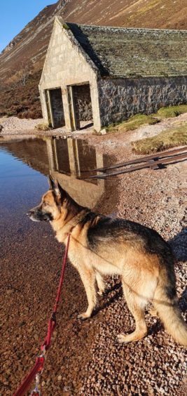 Katrina Beange, of Alford, sent us this striking photo of her dog Marco at their favourite place, Loch Muick.