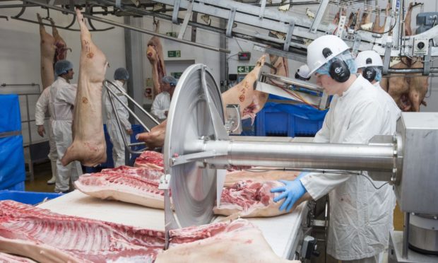 Some meat  processing companies are reporting a 10-12% shortfall in filling vacancies.