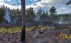 Wildfire damage in woodland near Loch Morlich, after a preventable fire raged out of control over June 5 and 6, 2021. Image: Scottish Fire and Rescue Service