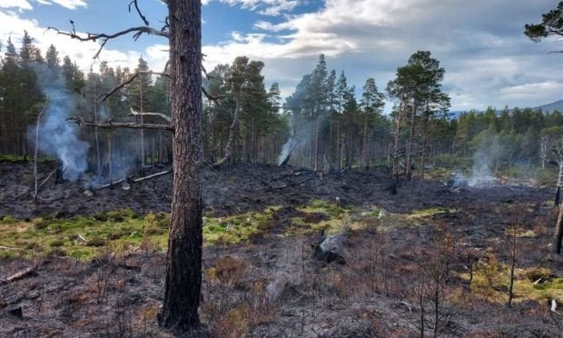 Wildfire damage in woodland near Loch Morlich, after a preventable fire raged out of control over June 5 and 6, 2021. Photograph courtesy of SFRS Crew Commander Jamie Stewart.