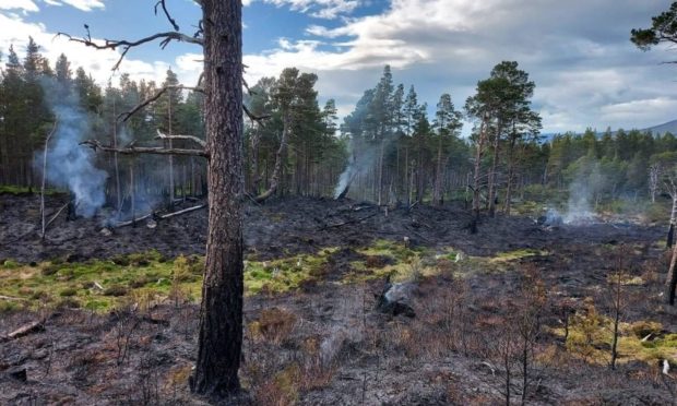 Wildfire damage in woodland near Loch Morlich, after a preventable fire raged out of control over June 5 and 6, 2021. Image: Scottish Fire and Rescue Service