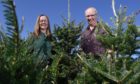 Jean and Roger Glennie are letting visitors see where their Christmas trees come from. Pictures by Kenny Elrick.