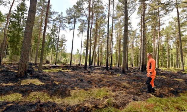 Forestry worker Scott Frazer surveys the damage.