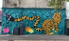 Aberdeen artist KMG - Katie Guthrie - will kick-off this year's Nuart festival with her distinctive street art style.
