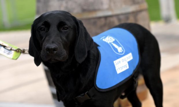 Guide Dogs Scotland has launched a new service to support children with sight loss