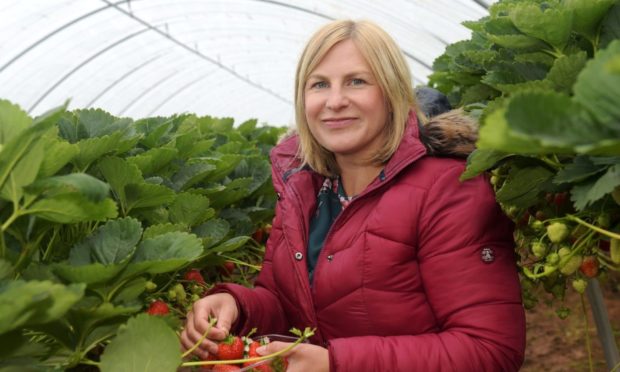 Anna Mitchell, co-owner of Castleton Farm