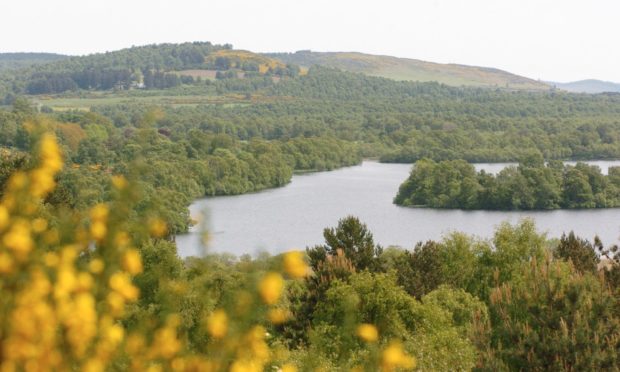 The picturesque Muir of Dinnet National Nature Reserve, with Loch Kinord visible.