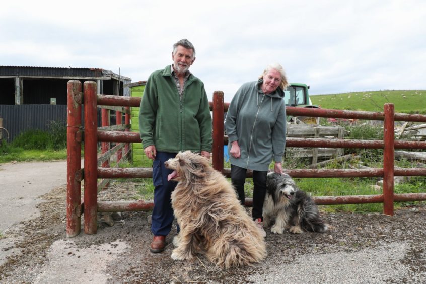 Graham and Debbie Lennox with their dogs at Doonies Rare Breeds Farm in Aberdeen.