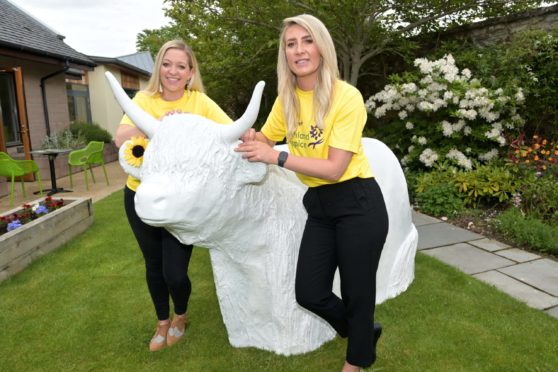 The Highland Hospice in Inverness have got the first of their 'herd' of Heilan Coos for their Great Heilan Coo Trail which will raise funds for the facility.  On the left is Jenna Hayden, event fundraiser and on the right Karen Duff, corporate fundraiser.