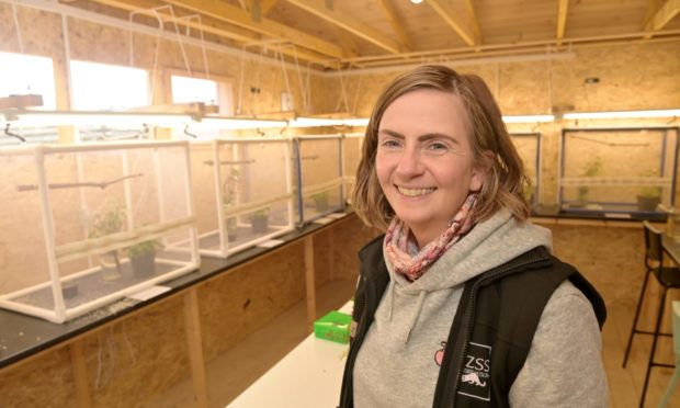 Dr Helen Taylor at the pine hoverfly breeding centre
