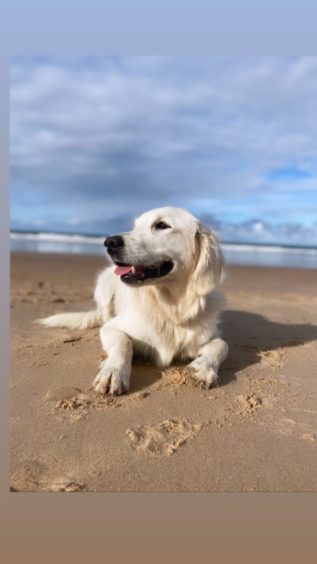 This lovely doggie is called Zara and she is pictured at Cullen Beach. Zara lives with Tanya Bowie in Cullen.