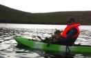 David Smith discovered the lamb in a sea cave off Shetland at the weekend Picture shows; A lamb rescued by kayaker David Smith.