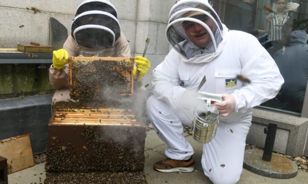 A pair from Alcohol And Drugs Action tend to some beehives on the rood of His Majesty's Theatre. Picture by Chris Sumner.