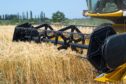 The Arable Scotland event takes place on June 29.