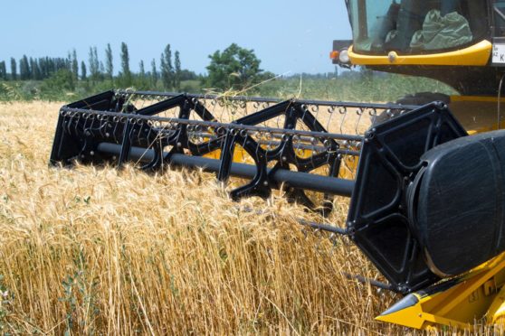 The EU expects a grain harvest of close to 300 million tonnes this year.